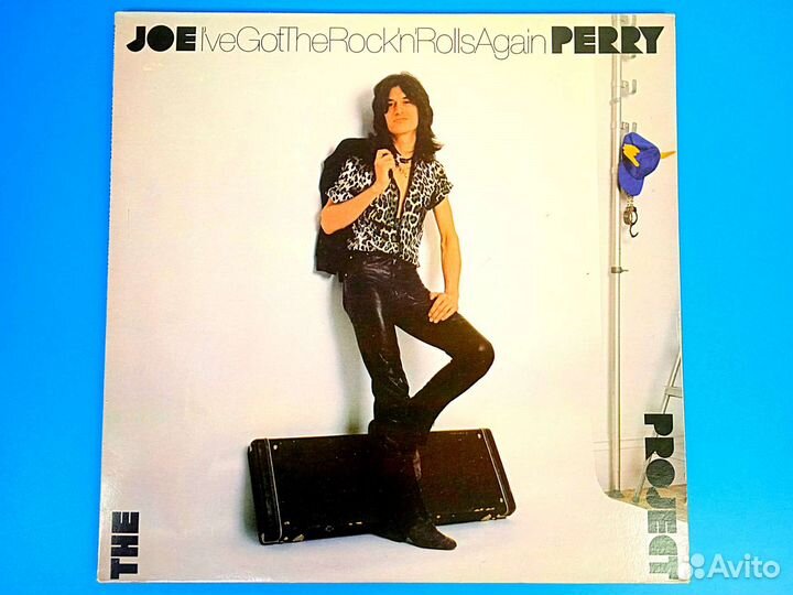 The Joe Perry Project 