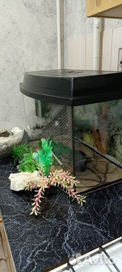 Аквариум на 70 литров