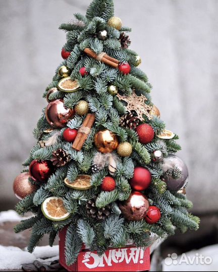 Елка из нобилиса