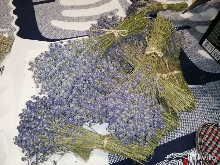 Лаванда букеты сухоцветов (синяя и сине-белая)