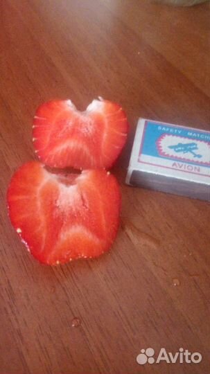 Усы клубники