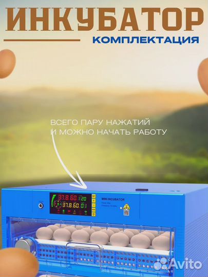 Инкубатор автоматический 256 яиц