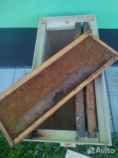 Ловушки для пчел с рамками