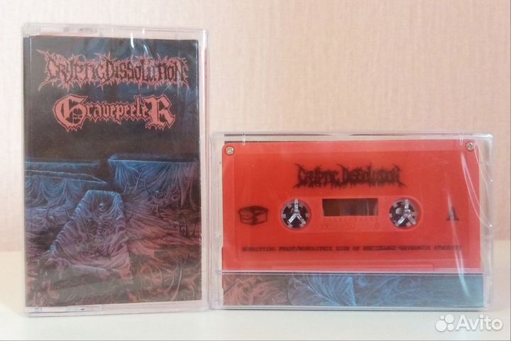 Cryptic Dissolution / Gravepeeler – Split