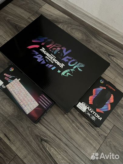 Thunderobot rtx 4060