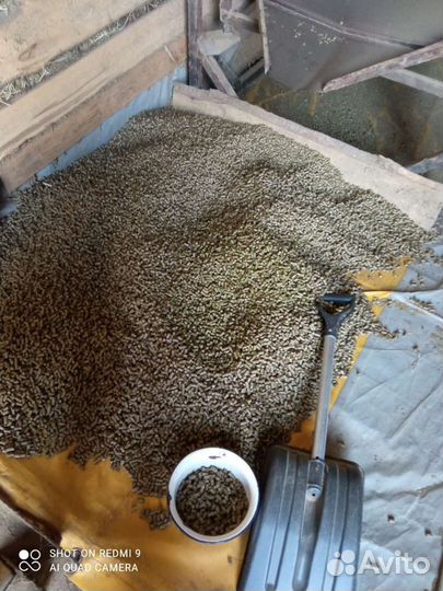 Продам сено