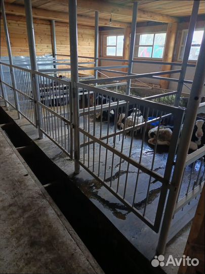 Транспортерная, конвейерная лента