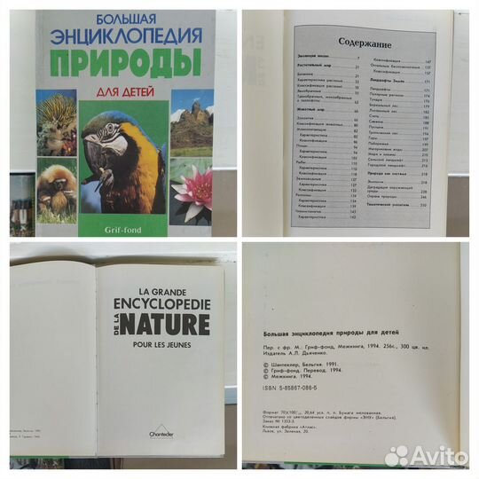 Детская энциклопедия, Главное чудо света и другие