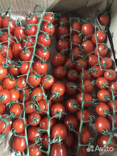 Овощи свежие