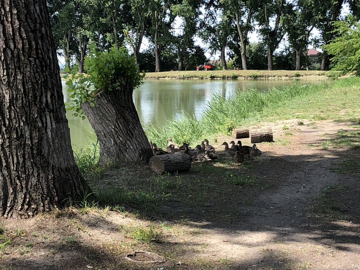 Участок 13 га (промназначения)