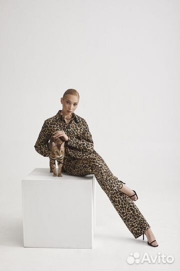 Бенгальский кот для фотосессии