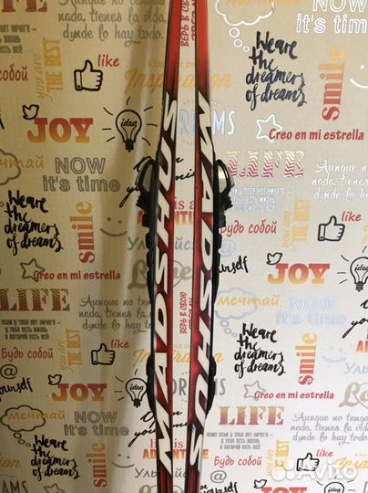 Беговые лыжи