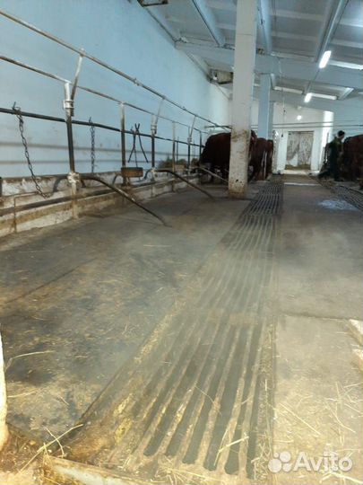 Настил для свинарников коровников