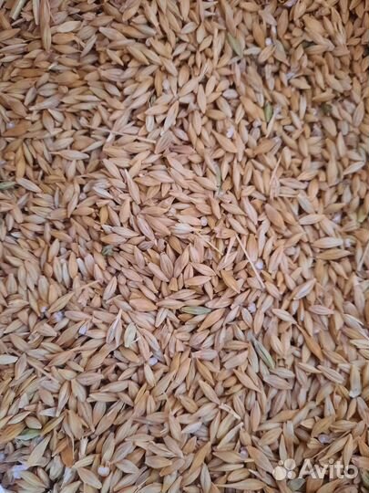 Товары для домашних животных