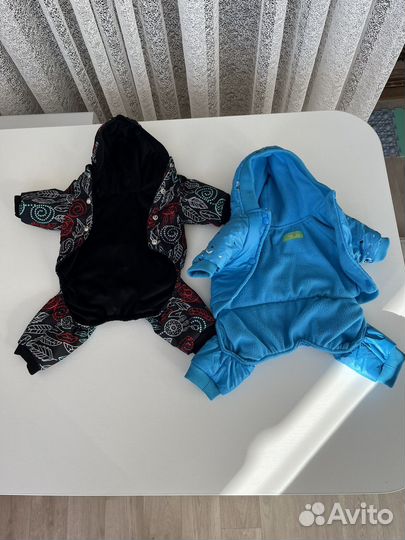 Одежда для собак