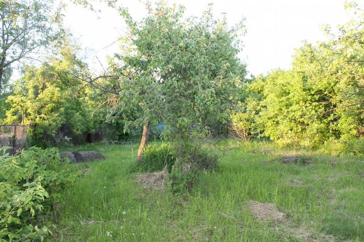 Дом 44 м² на участке 16 сот.