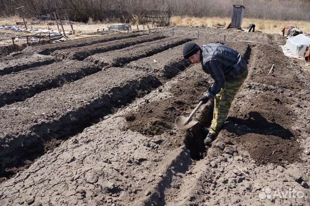 Услуги разнорабочих