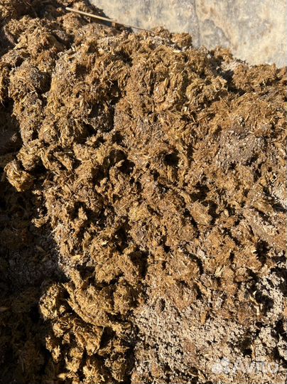 Навоз бесплатно