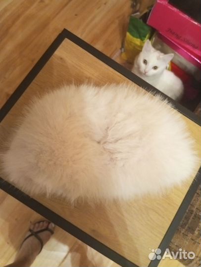 Зимние шапки женские