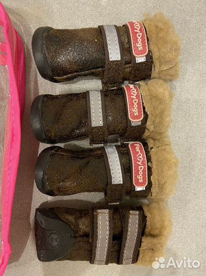 Обувь для собак