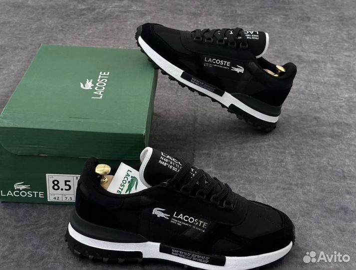 Кроссовки lacoste мужские