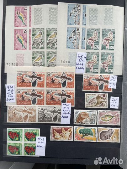 Флора фауна