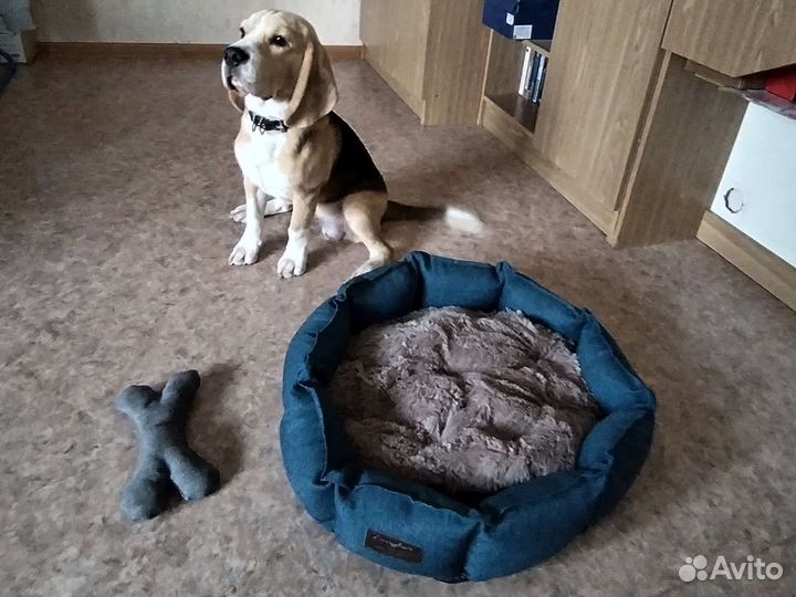 Лежанка для питомца новая