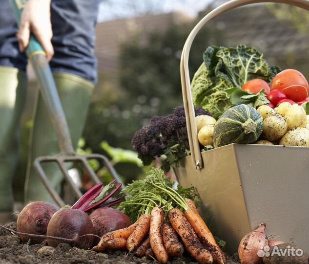 Грунт плодородный черный и коричневый полевой