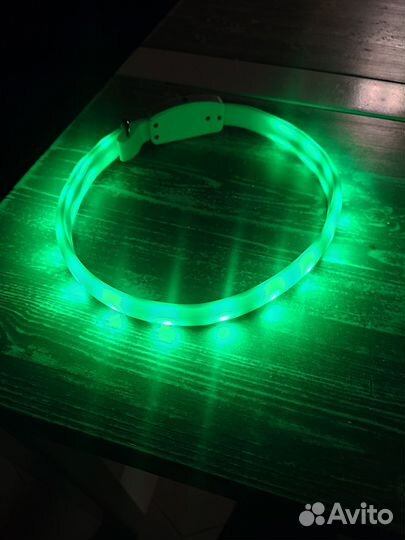 Светодиодный ошейник