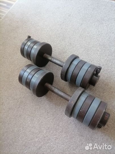 Гантели разборные по 25 кг. Общий вес 50 кг