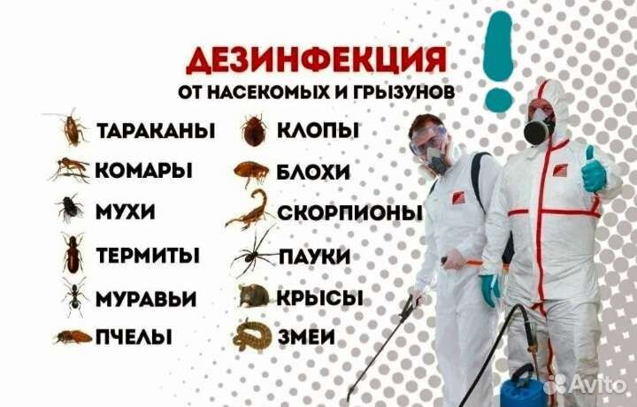 Дезинфекция
