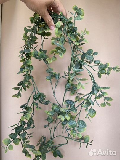 Пластмассовые цветы в горшках, лианы, гортензии