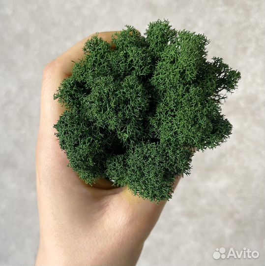 Стабилизированный мох, Зеленый Микс, 05кг, 500г