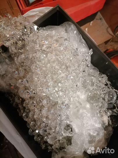 Декоративные цветы