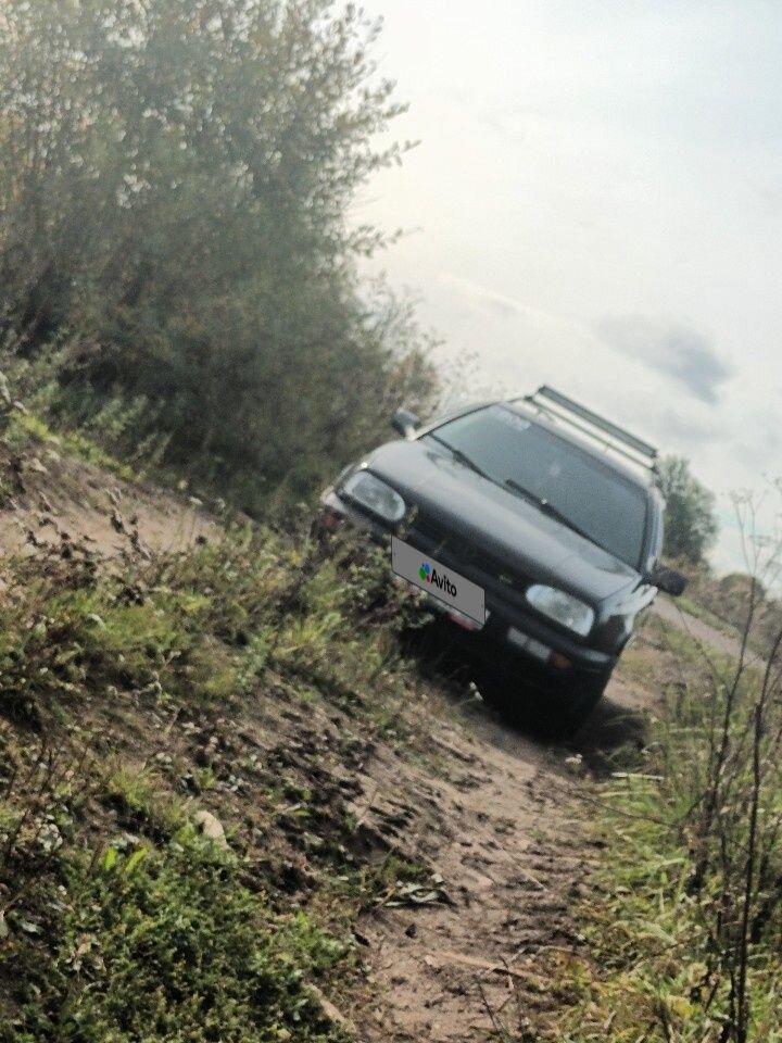Volkswagen Golf: фото владельца