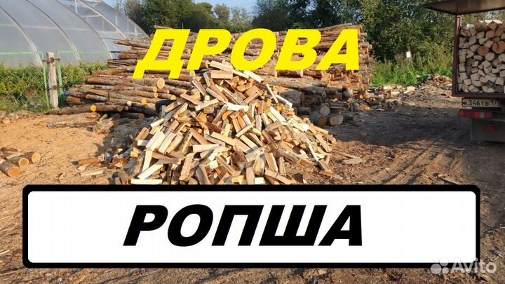 Дрова посёлок Ропша