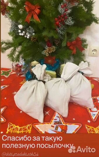 Березовый гриб Чага (бесплатная доставка)