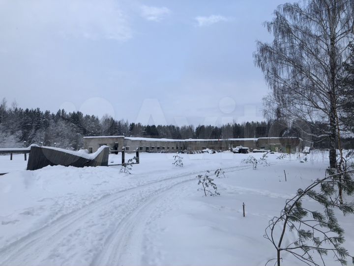 Дом 500 м² на участке 10 га