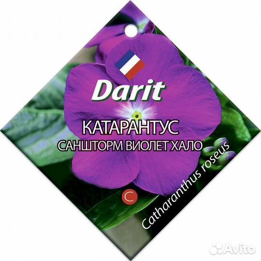 Darit катарантус Саншторм Виолет Хало 10шт