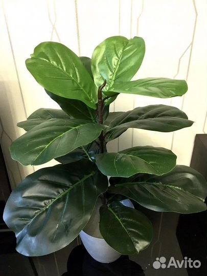 Пальма.Фикус.Стрелиция. Искусственные растения