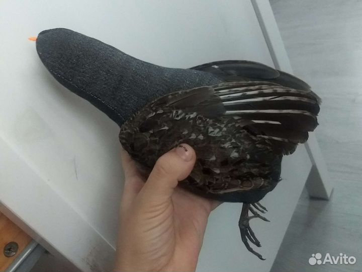 Потаска с крыльями птицы, игрушка для собаки