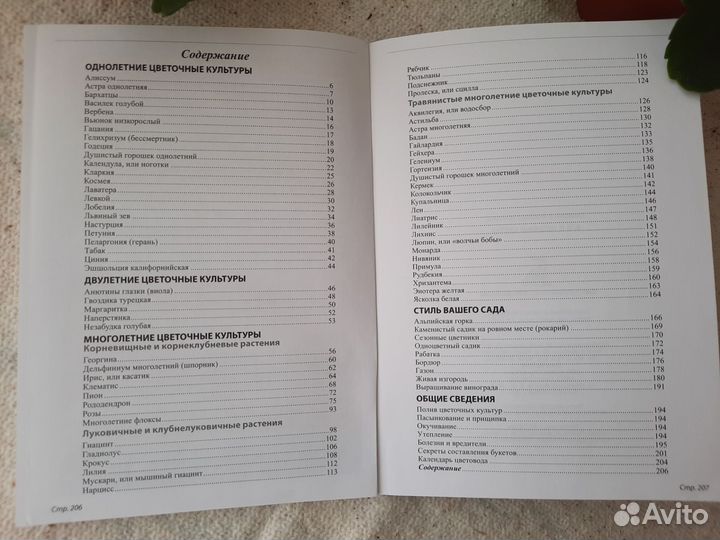 Книга Все о любимых цветах