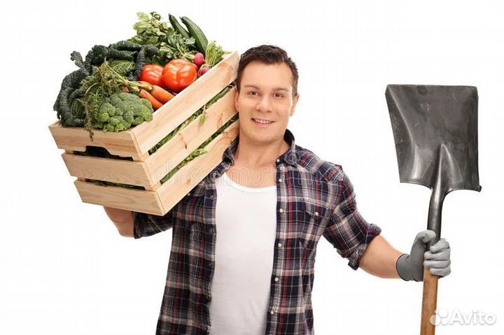 Грузчик вахта