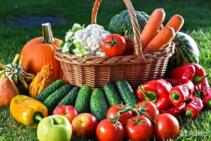 Рассада помидоры,огурцы,капуста,кабачки,цветы и тд