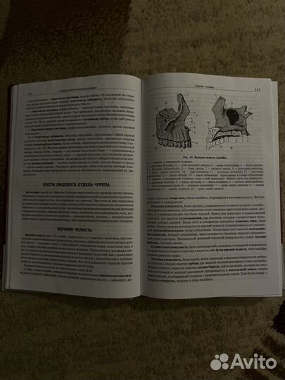 Учебник по анатоми человека привес