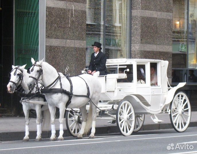 Экипаж, карета