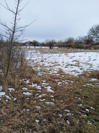 Участок 20 сот. (ИЖС)