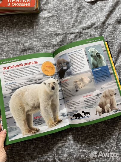 Книги энциклопедии про животных