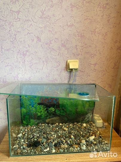 Аквариум