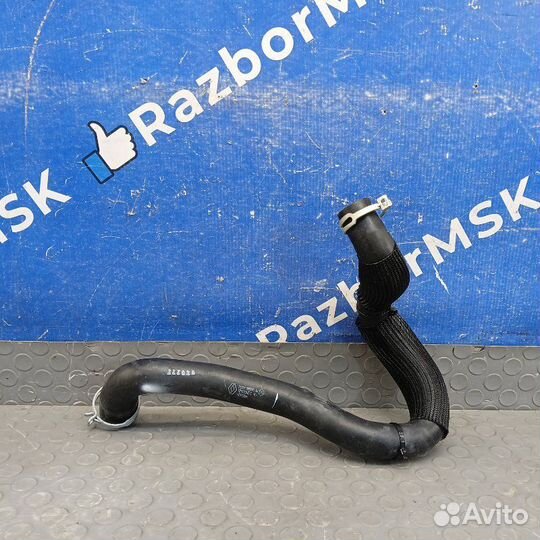 Патрубок радиатора Renault Arkana